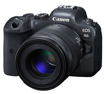 RF Lenses - RF85mm f/2 Macro IS STM - Canon Malaysia